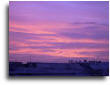 wp189457f7.jpg