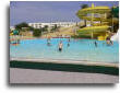 wpbf81b364.jpg